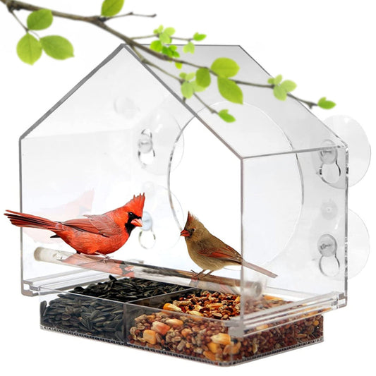 BirdTV™ Window Bird Feeder