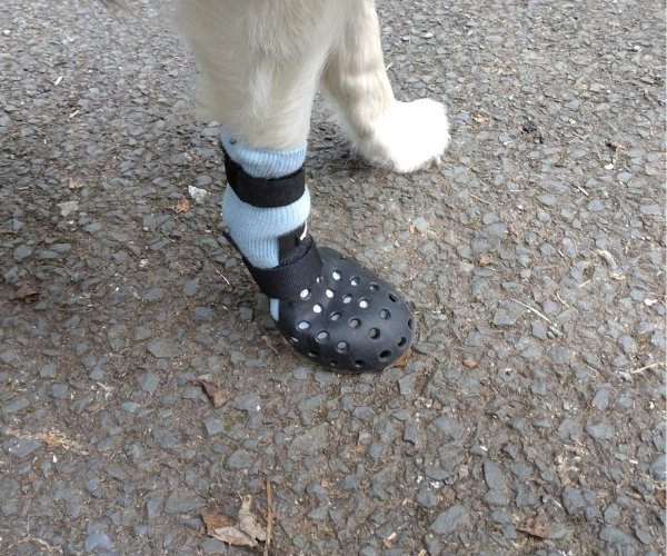 PawShield™ - Outdoor Dog Boots