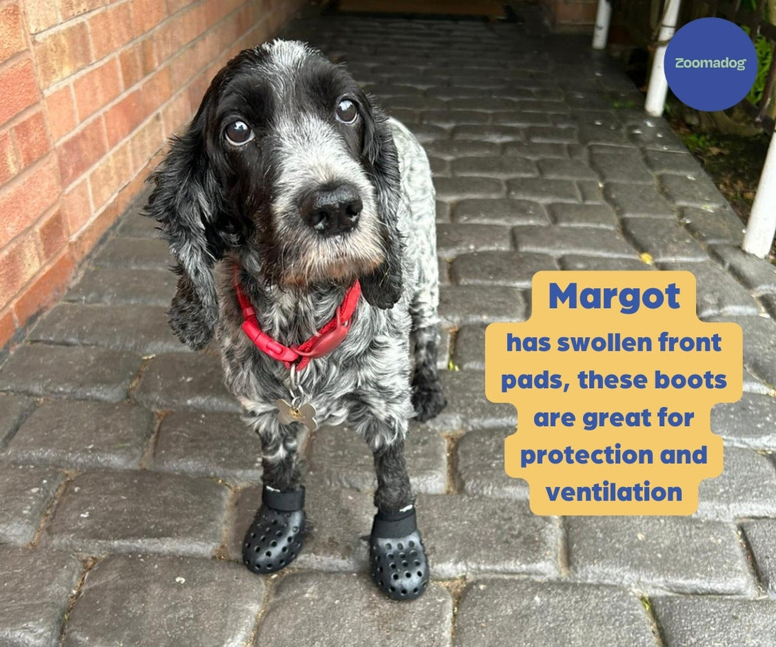 PawShield™ - Outdoor Dog Boots