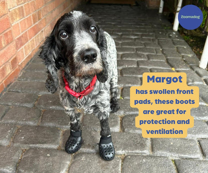 PawShield™ - Outdoor Dog Boots