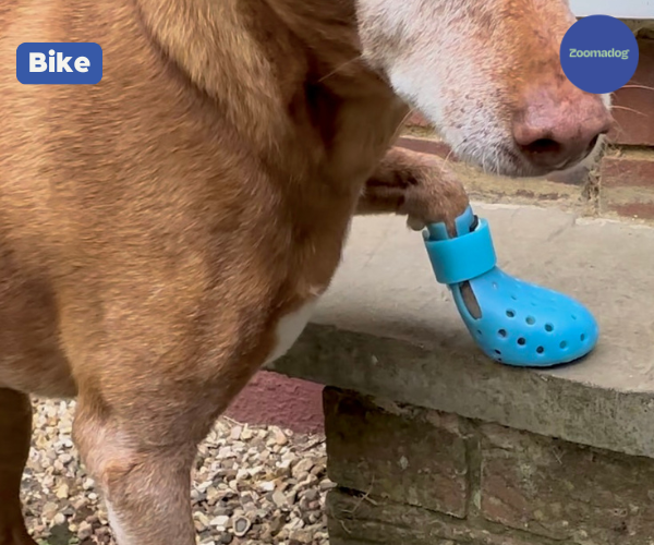 PawShield™ - Outdoor Dog Boots