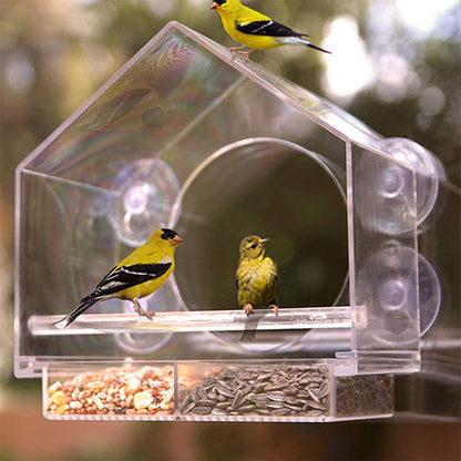 BirdTV™ Window Bird Feeder