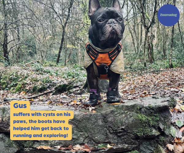 PawShield™ - Outdoor Dog Boots